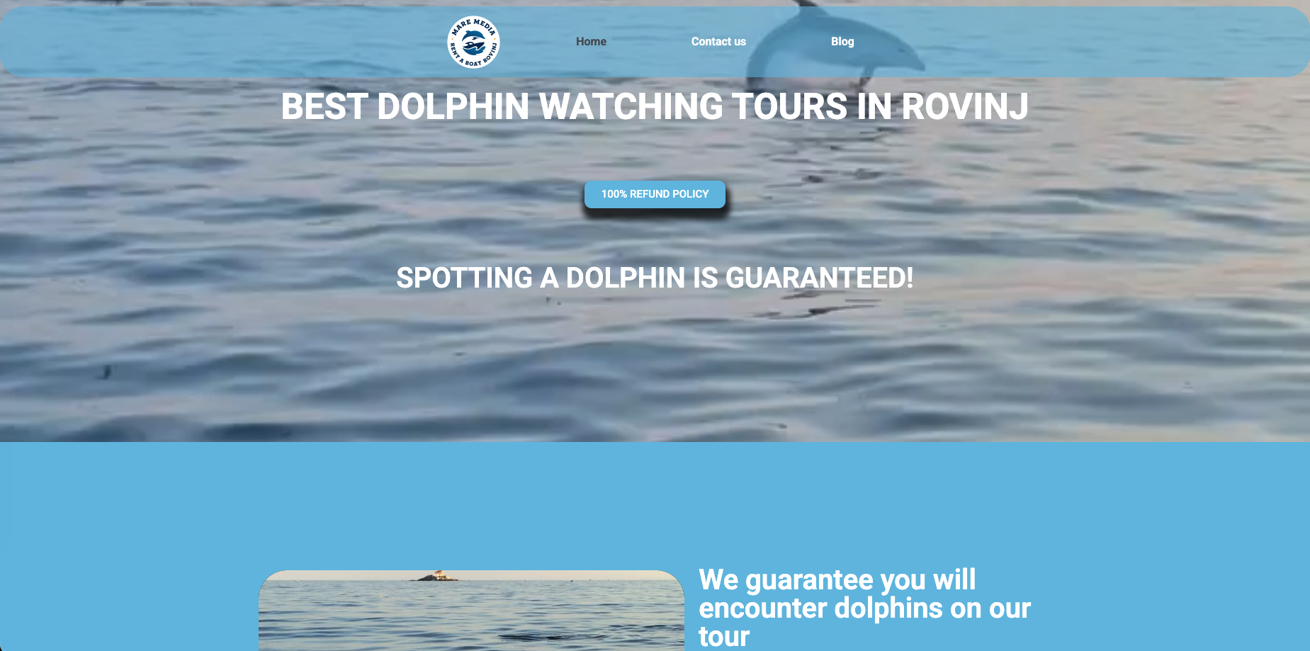 Dolphin tours Rovinj